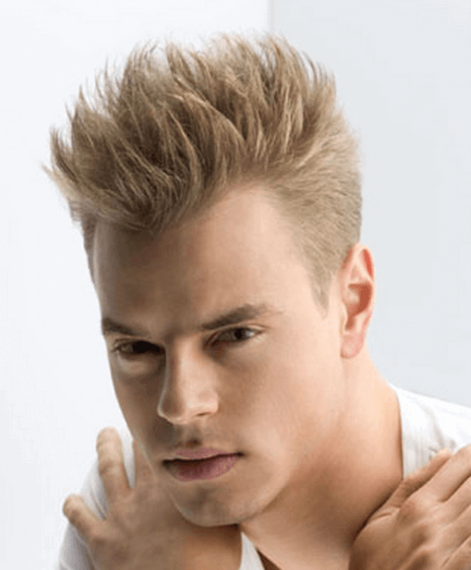 Mens Punk Hairstyle